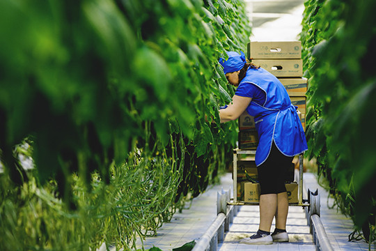 А ты упрямый, еще одна новость 2